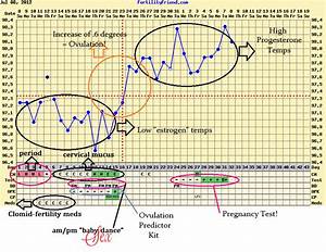 Bbt Chart Of A Woman