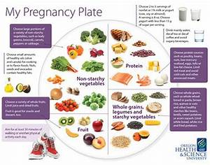 39 My Pregnancy Plate 39 Helps To Be With Nutrition Oregonlive Com