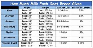 how much milk should my goat be giving falcone family farms blog