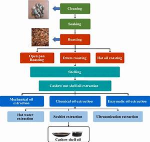 Cashew Nut Processing Flow Chart