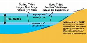 What The Mean Of Low Tide Elevations In The Law Of The Sea And Case