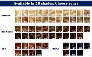 clairol nice 39 n easy 6a 114 light ash brown permanent hair color 1