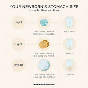 Your Newborn S Stomach Size Is Smaller Than You Think