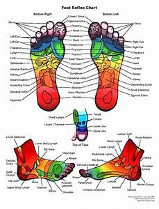 image result for foot reflexology reflexology chart reflexology