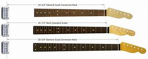 Double Neck Guitar 5 String Bass Page 2 Talkbass Com