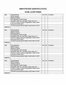 Home Health Chart Audit Tool Fill Online Printable Fillable Blank Images