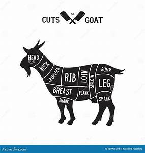 Goat Scheme Cuts Butcher Diagram Poster Meat Diagram Scheme