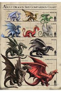 Anne Stokes Dragon Size Chart Greetings Card Angel Clothing
