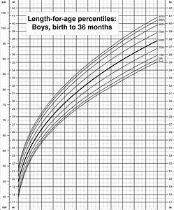 What Is A Baby Percentile Graph Free Sample Example Format