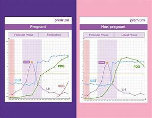 Early Pregnancy Normal Bbt Chart