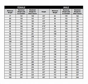 Free 7 Sample Height Weight Chart Templates In Pdf Ms Word