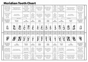 Dental Charting Practice Worksheets Best Picture Of Chart Anyimage Org