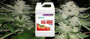 How To Use Cal Mag For Weed Plants Happy Pot Farmer