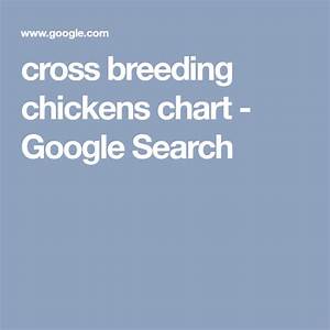 Cross Chickens Chart Google Search Chicken Breeds Crazy