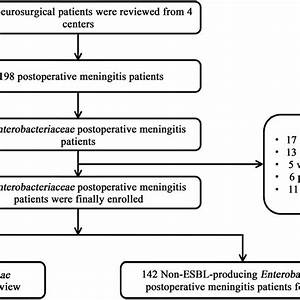 Flow Chart Of The Selection Of Enterobacteriaceae Postoperative