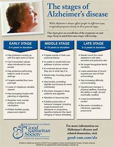 Stages Of Alzheimer S Disease Infographic