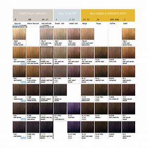 Free 8 Sample Hair Color Chart Templates In Pdf