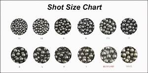 Shot Information And Data Tables Ballisticproducts Com