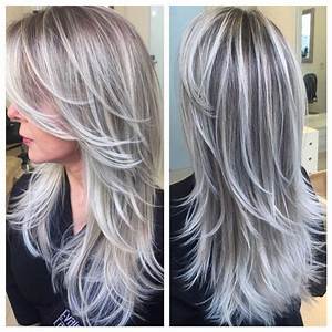 Image Result For Gray Hair Color Chart Silver Hair Color Hair Styles