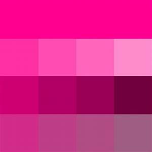 Magenta Hue Tint And Shade Fuschia Pink Color Purple Colour Shades