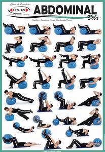 exercise charts for stability ball balance ball swiss ball and bosu