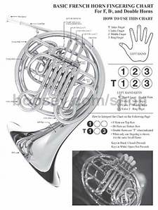 basic chart for french horn