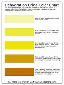 This Dehydration Urine Color Chart Will Help You Use Your Urine Color