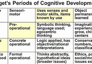 Piaget 39 S Cognitive Development Stages