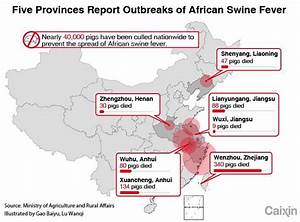 Chart The Spread Of African Swine Fever Across China Caixin Global