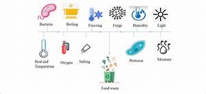 Factors Of Food Spoilage Download Scientific Diagram