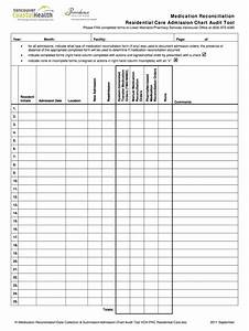 Chart Audit Template 2011 2023 Form Fill Out And Sign Printable Pdf