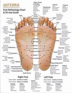 31 Printable Foot Reflexology Charts Maps ᐅ Templatelab