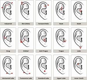 How To Pick An Ear Piercing According To The Experts Artofit