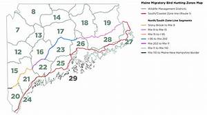 Migratory Game Bird Waterfowl Regulations Maine Hunting Eregulations