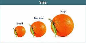 Size Byju 39 S Mathematics