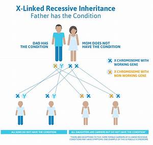 X Linked Recessive Inheritance Pattern Slideshare