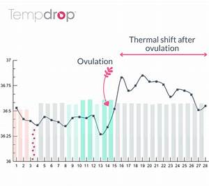 Thermal Shift And Ovulation Chart