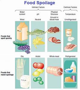 Food Spoilage Intrinsic And Extrinsic Factors Microbiology Notes