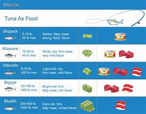 Types Of Tuna Explained Taste Cost And More