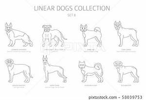 Simple Line Dogs Collection Isolated On White Dog Stock Illustration