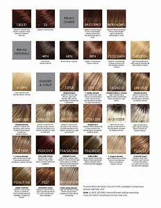 Ultimate Jon Renau Human Hair Color Chart La Wig Company