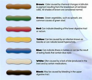 Medical Stool Color Chart