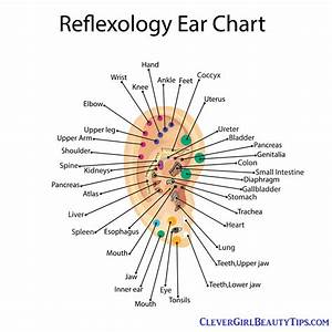 Ear Relieve Stress Anxiety Improve Concentration