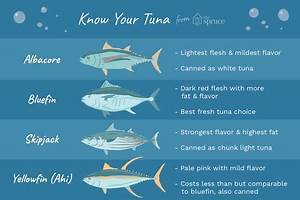How To Tell The Differences Between Types Of Tuna Tuna Bluefin Tuna