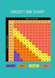 Free Obesity Bmi Chart Illustrator Word Psd Pdf Template Net