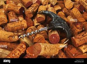 In Vino Veritas Stock Photo Alamy