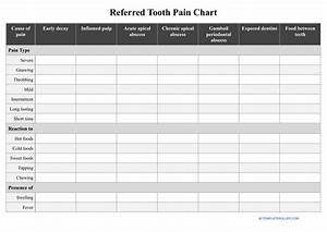 Referred Tooth Chart Table Download Printable Pdf Templateroller