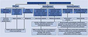 Elbow A Guide To Assessment And Management In Primary Care