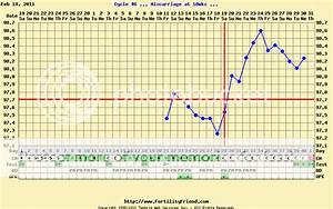 Your Bbt Chart Here Babycenter