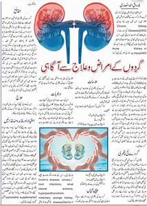All About Kidney Disease Its Treatment In Urdu English Languages